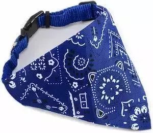 Akord Adjustable Bandana