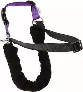 Ancol/Pure Dog Listeners Dog Training Harness & Lead Set