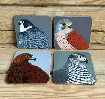 Birds Of Prey Coasters