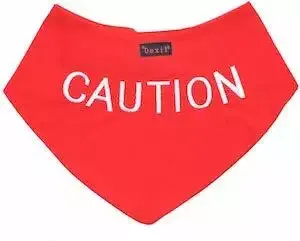 Dexil Bandana Caution