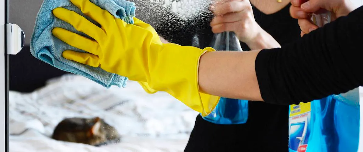 Cats and Cleaning Products