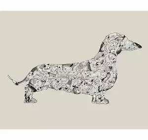 Dachshund Graphic Print