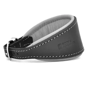 Dogs & Horses Padded Leather Hound Charocal Grey Dog Collar
