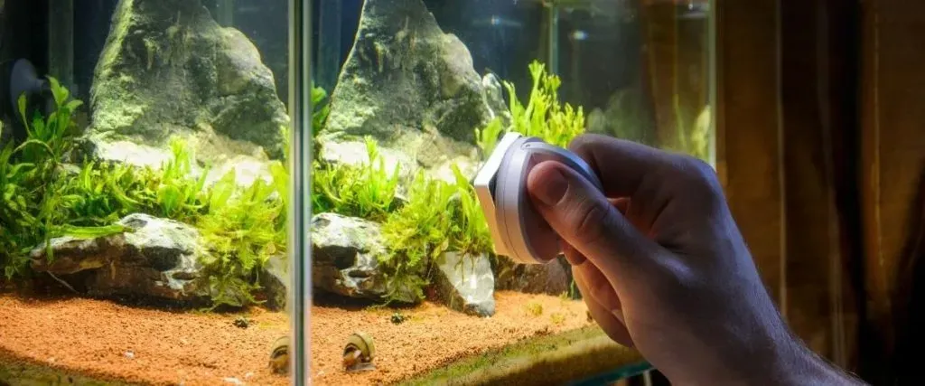 Fish Tank Cleaning Pad