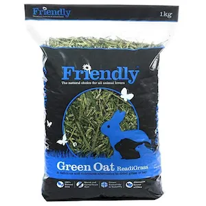 Friendly Green Oat Readigrass