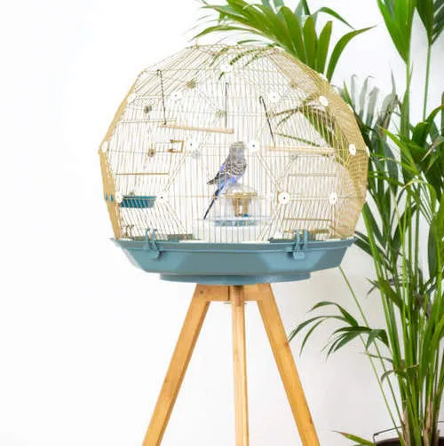 Geo Bird Cage
