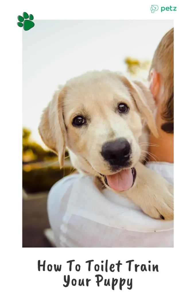 How To Toilet Train Your Puppy