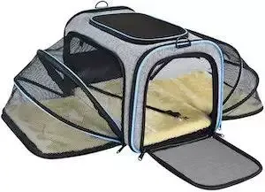 best cat carrier