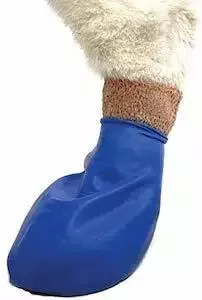 Pawz Dog Boots