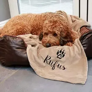 Personalised Luxury Snuggle Dog Blanket 