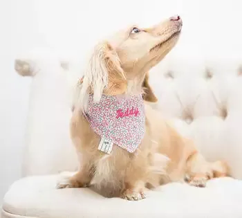 TEDDY MAXIMUS Personalised Pink Liberty Print Neckerchief 