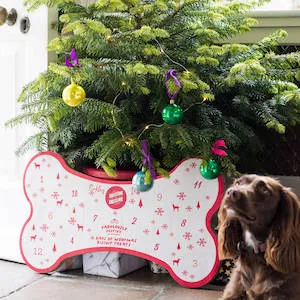 Twelve Days Of Woofmas Biscuit Calendar