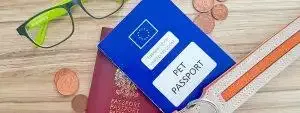 Pet Passport Travel Guide Rules