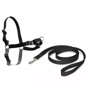 PetSafe® Easy Walk® Harness
