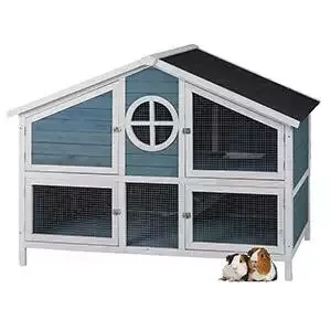 Pets at Home Foxglove Guinea Pig Hutch Blue & White