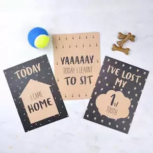 Pink & Turqoise Puppy Milestone Cards