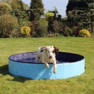 Rosewood Cool Down Foldable Dog Pool
