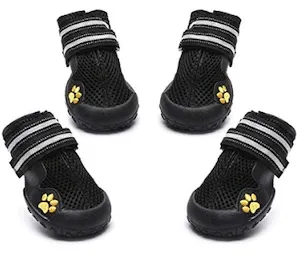 Royalcare Dog Shoes