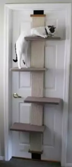 SmartCat Multi-Level Climber