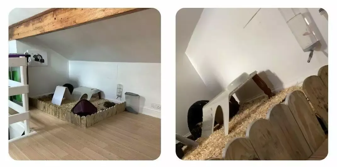 how to make a woode guinea pig cage