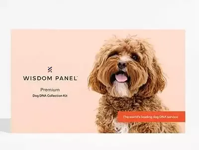 Wisdom Panel Premium - Dog DNA Test