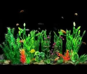 best fake aquarium plants