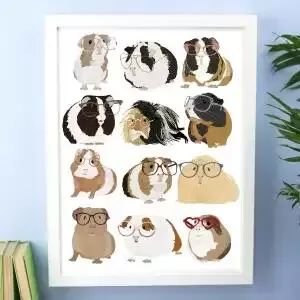 Guinea Pigs With Glasses Print