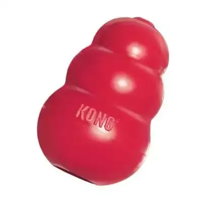 KONG Wobbler Dog Toy