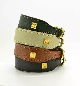 Dogs And Horses Luxury Greyhound Collar