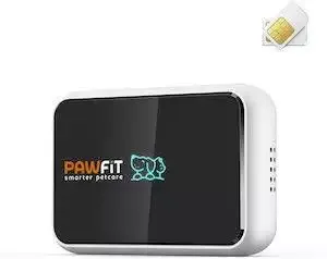 best dog gps tracker