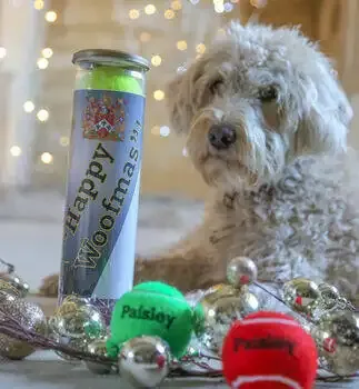 Personalised Dog Tennis Balls