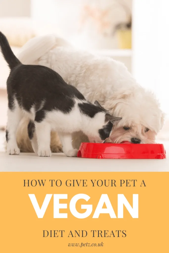 pet vegan diet