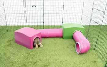Zippi Rabbit Shelter with Play Tunnel Twin Pack